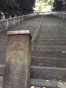 急こう配